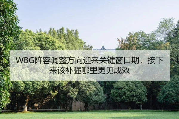 WBG阵容调整方向迎来关键窗口期，接下来该补强哪里更见成效
